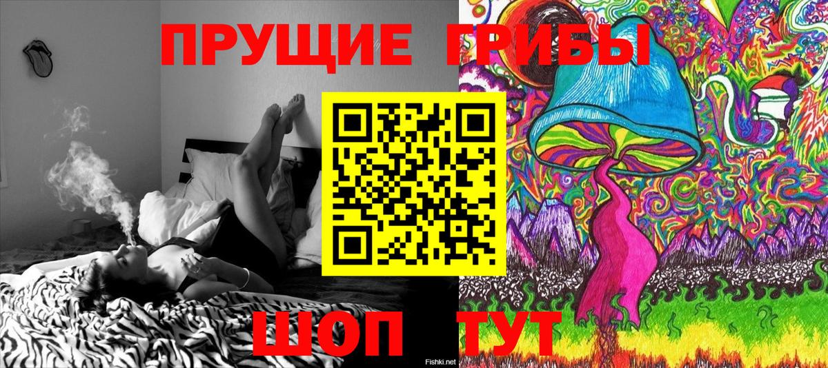 Галлюциногенные грибы ЛСД Шадринск